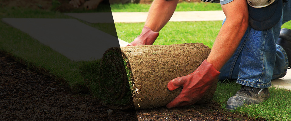 Hager City Landscapers